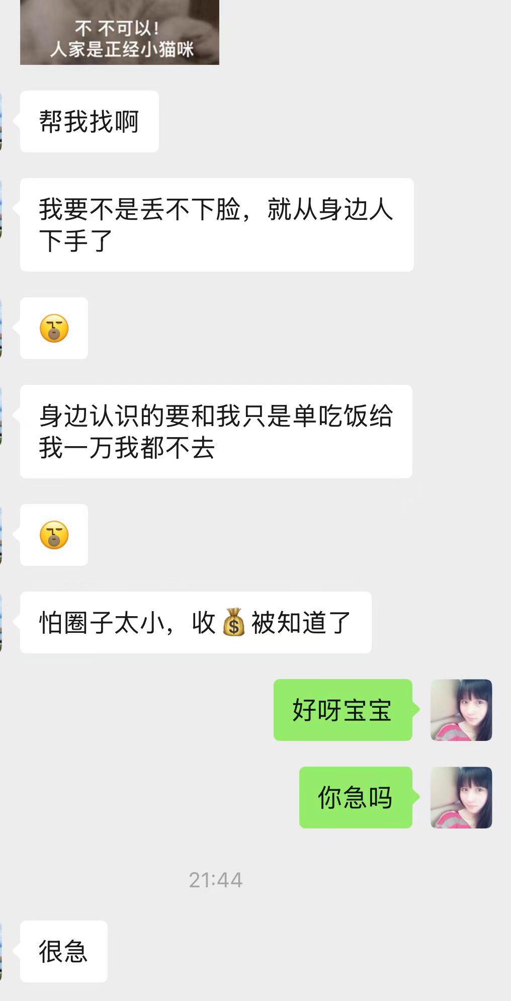 40dc4358beb96c5a536588b48cc18a.jpeg